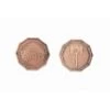 Fantasy Coins - Dwarven Copper (10 Stuks) -Speelgoedwinkel fantasy coins dwarven copper 10 stuks